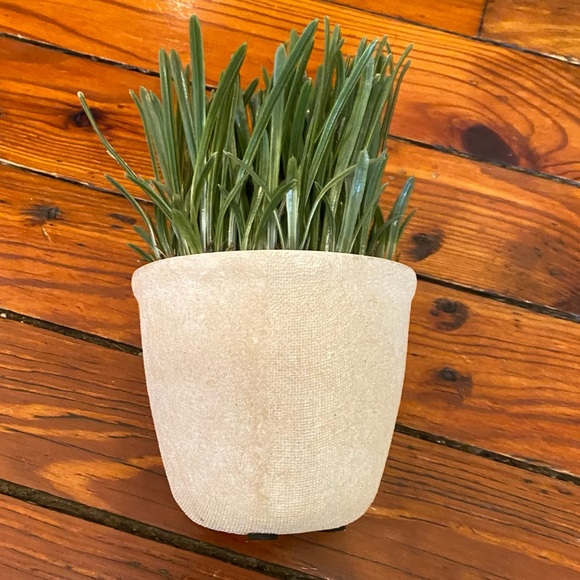 Realistic Fake Plant Green Grass Plant Mini Potted Artificial Plant in Pot - Picture 3 of 8